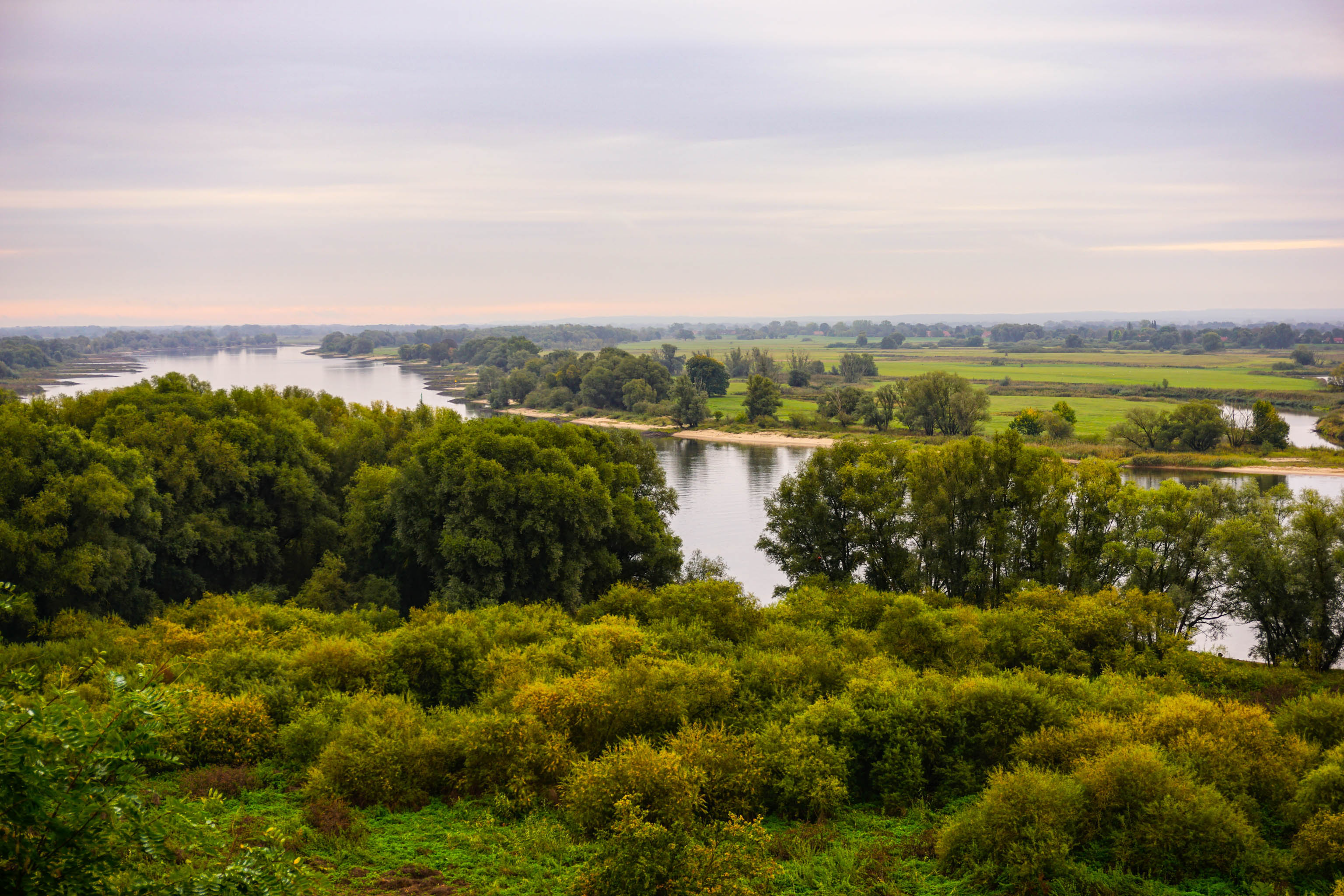 Das grüne Band wandern Elbe