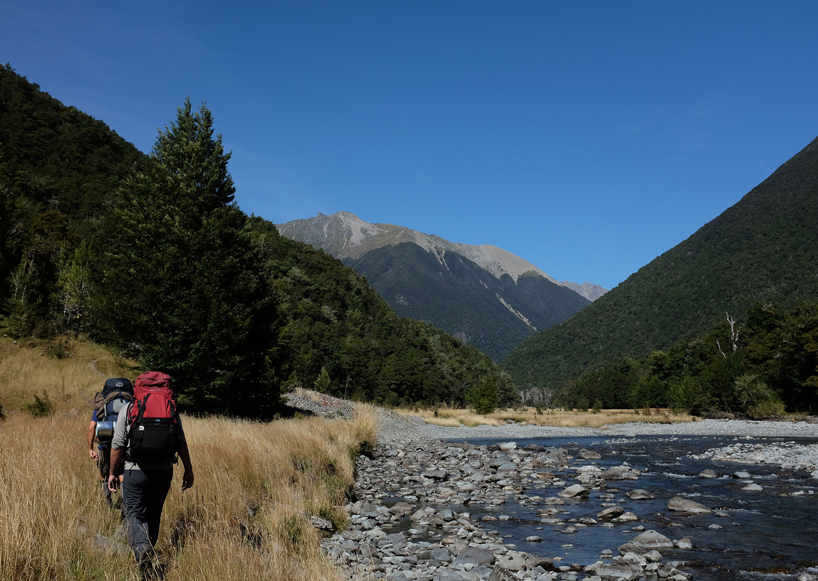Long-distance hiking trails Te Araroa Trek path through the meadows on the banks of the river