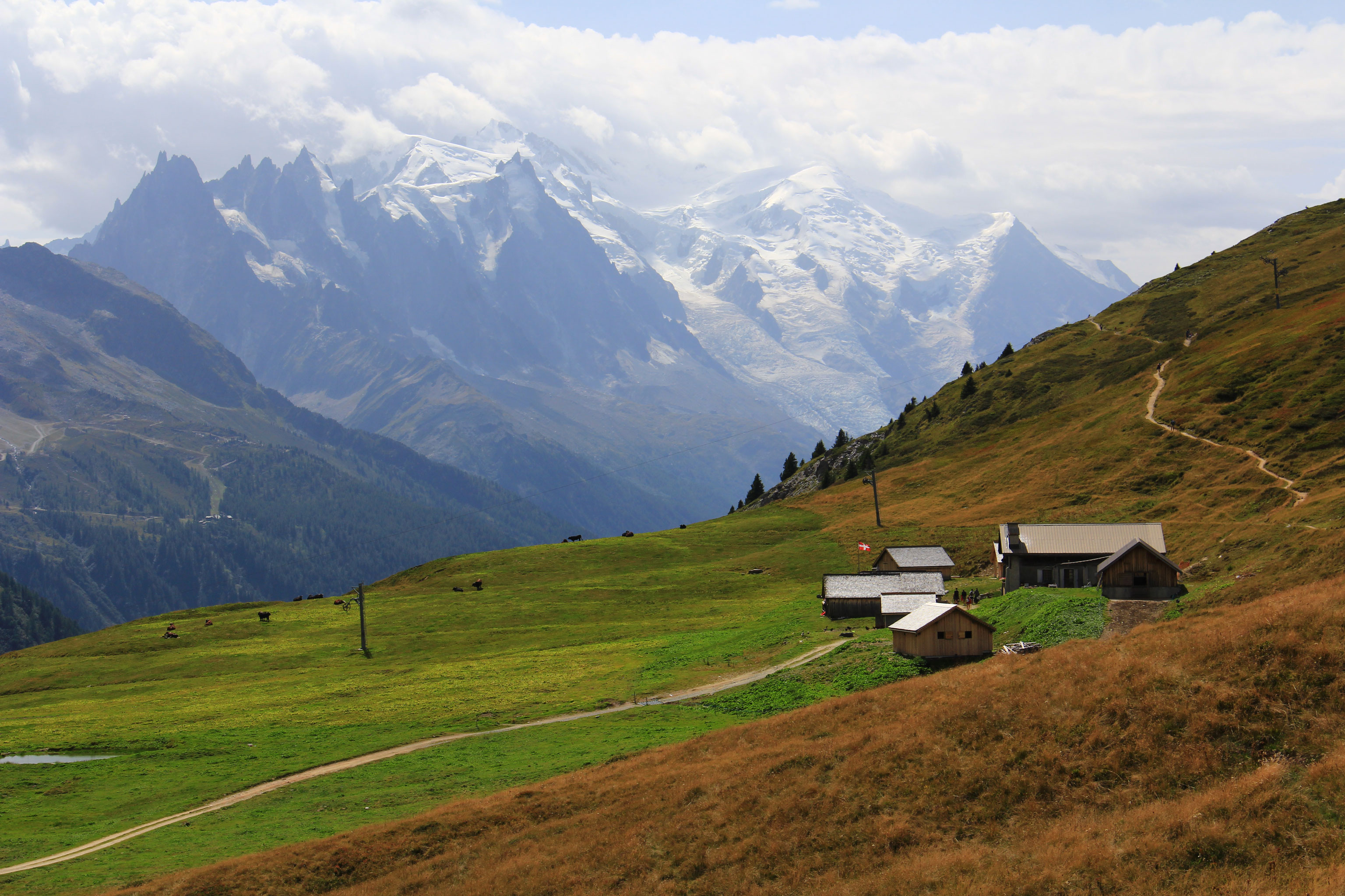 Fernwanderwege Alpen Tour du Mont Blanc Almlandschaft mit Mont Blanc