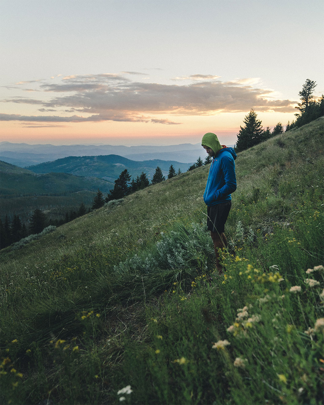 Wanderer auf Wiese auf dem Pacific Northwest Trail