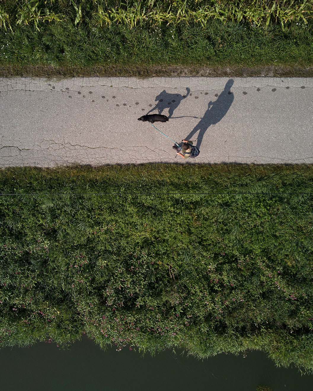 Wandern mit Hund in Bayern Luftbild von Herrchen und Hund mit ihren Schatten