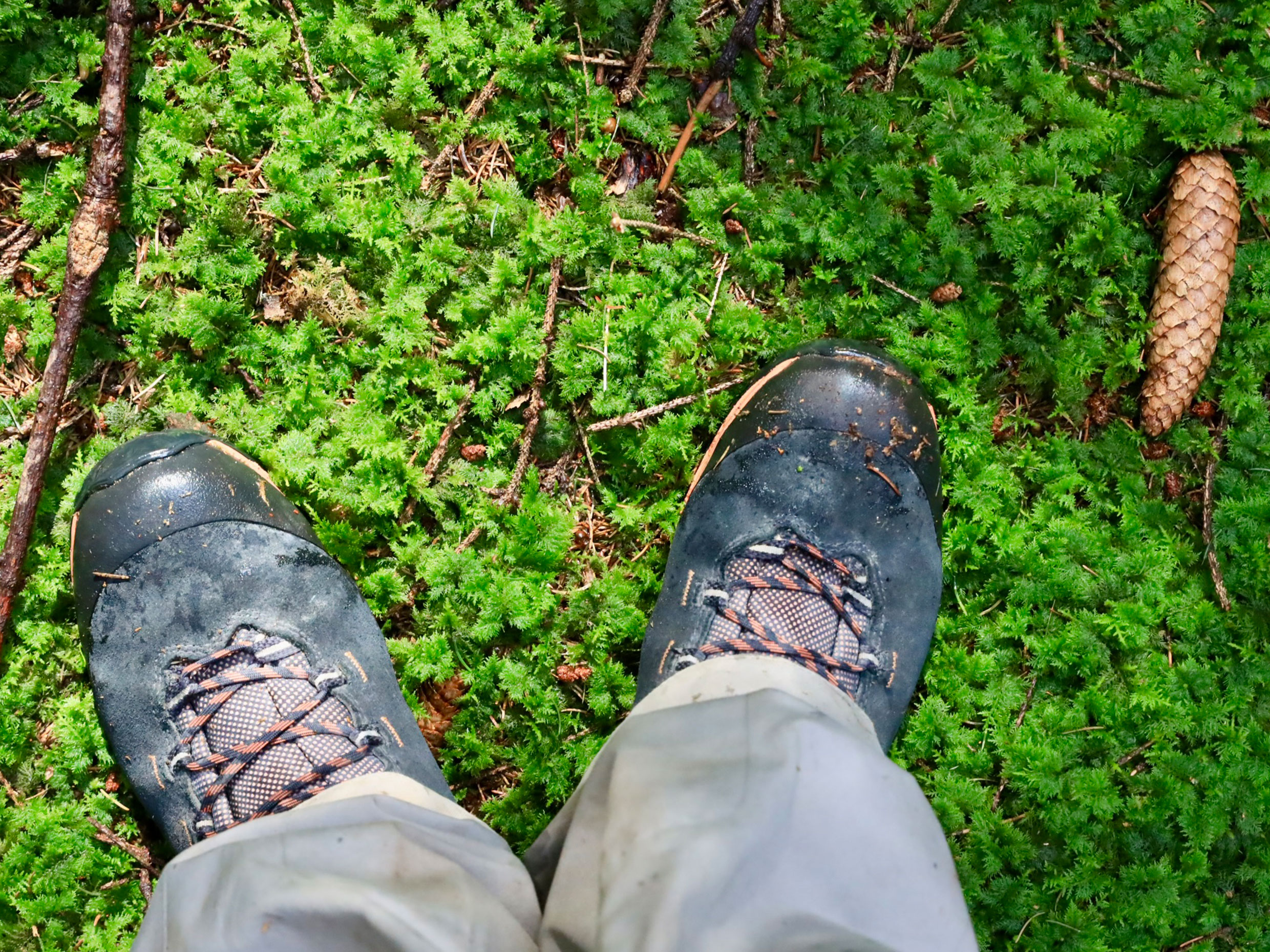 Forest bathing exercise with two feet on soft moss
