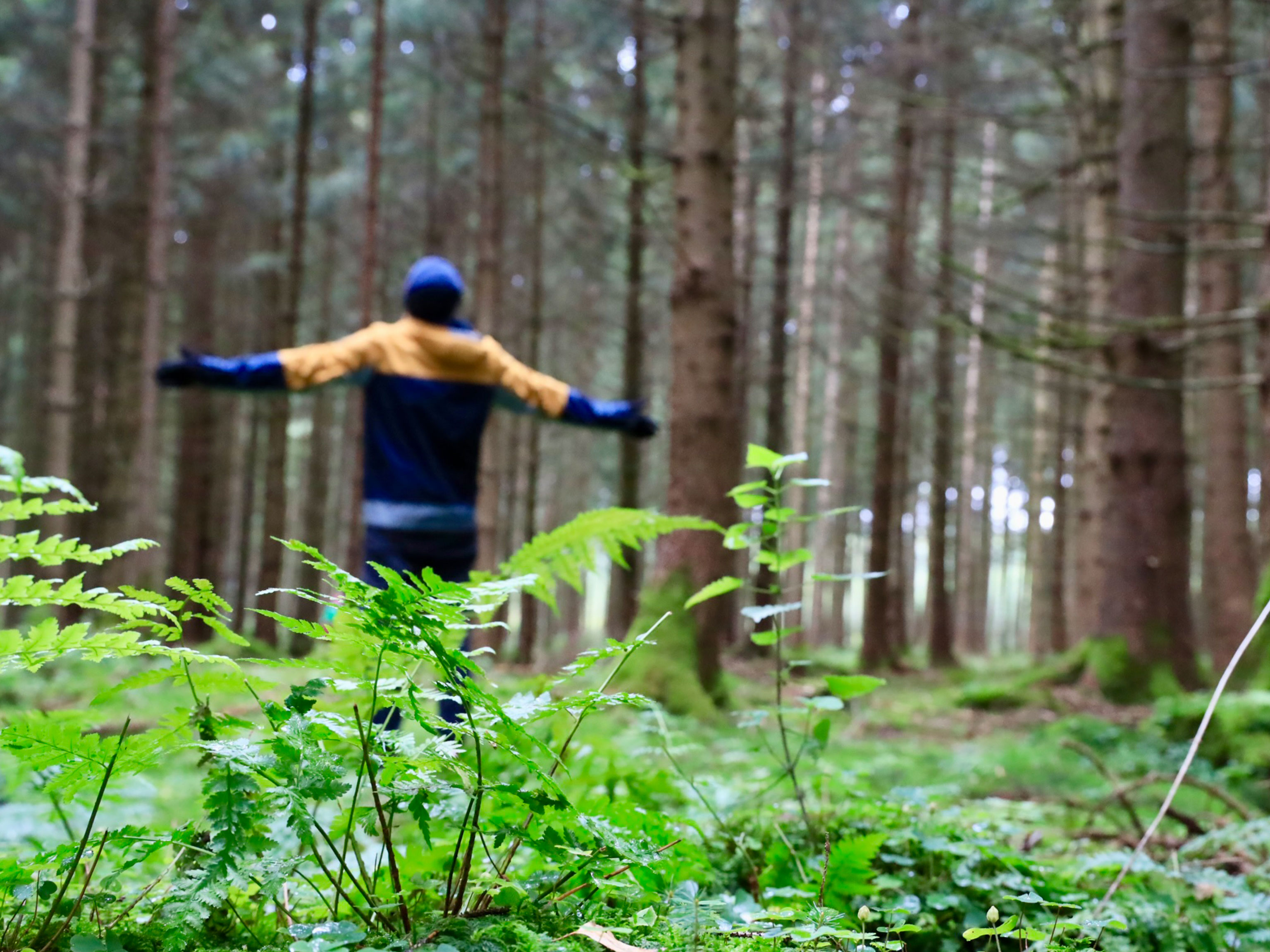 A man standing in the forest with his arms outstretched