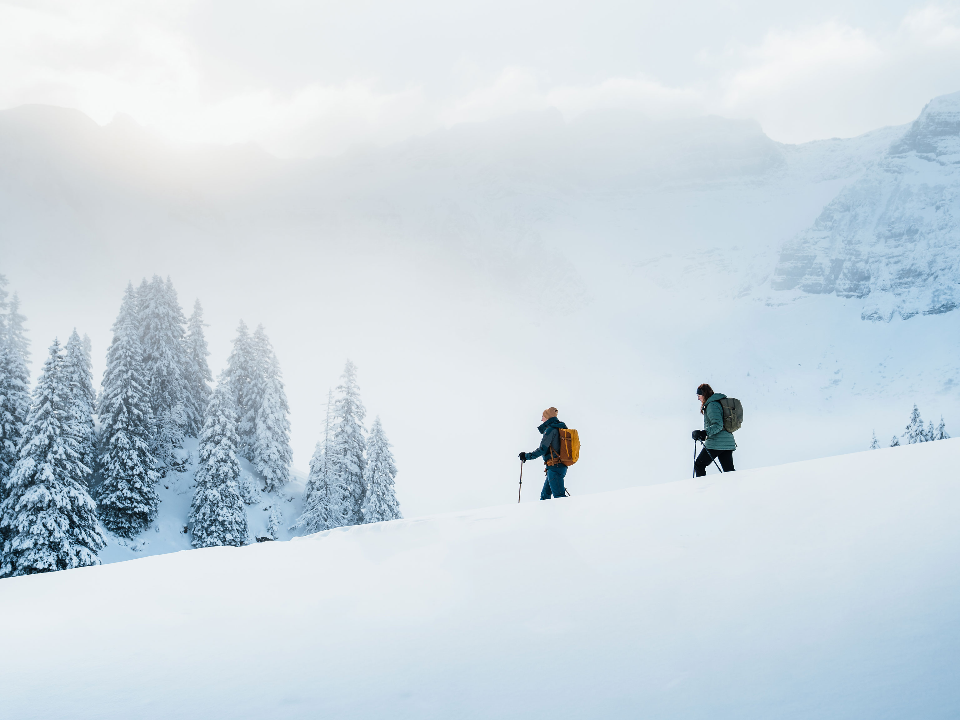 Zwei Schneeschuhwanderer in weiter Winterlandschaft im Bregenzerwald