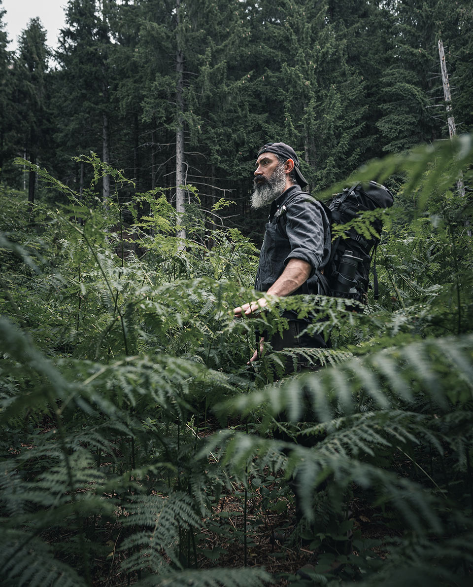 Alex Wander geht beim Bushcrafting durch einen Wald mit Farn