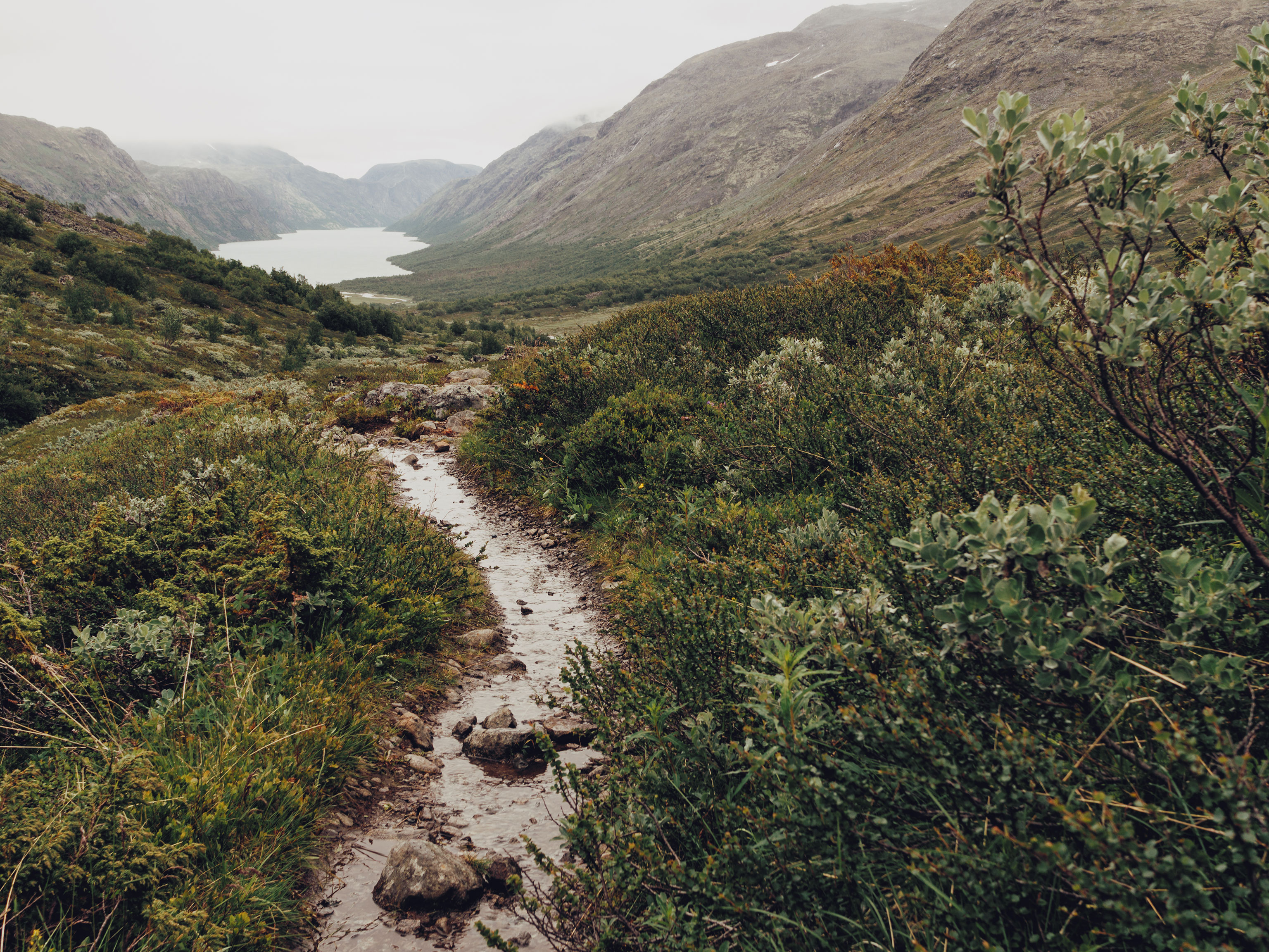 Ein schmaler Wanderwege führt im Jotunheimen Nationalpark in Richtung eines Sees